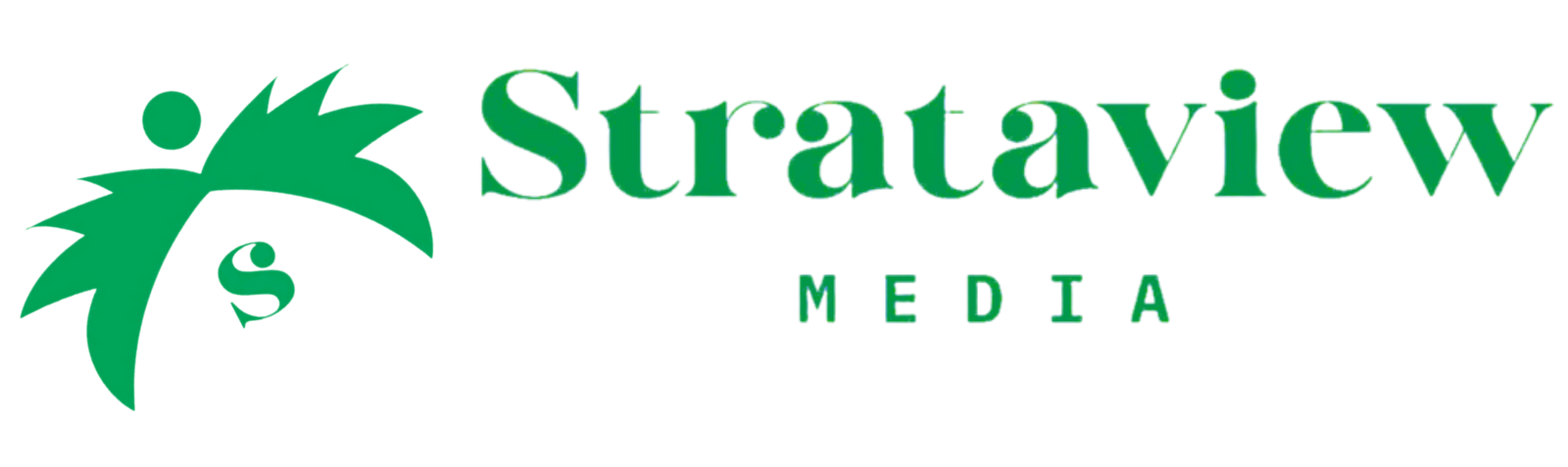 Strataview Media
